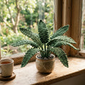 Crochet Fern Plant - Nordic Forest Breath